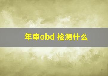 年审obd 检测什么